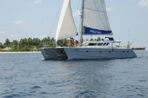 SailFish Catamaran